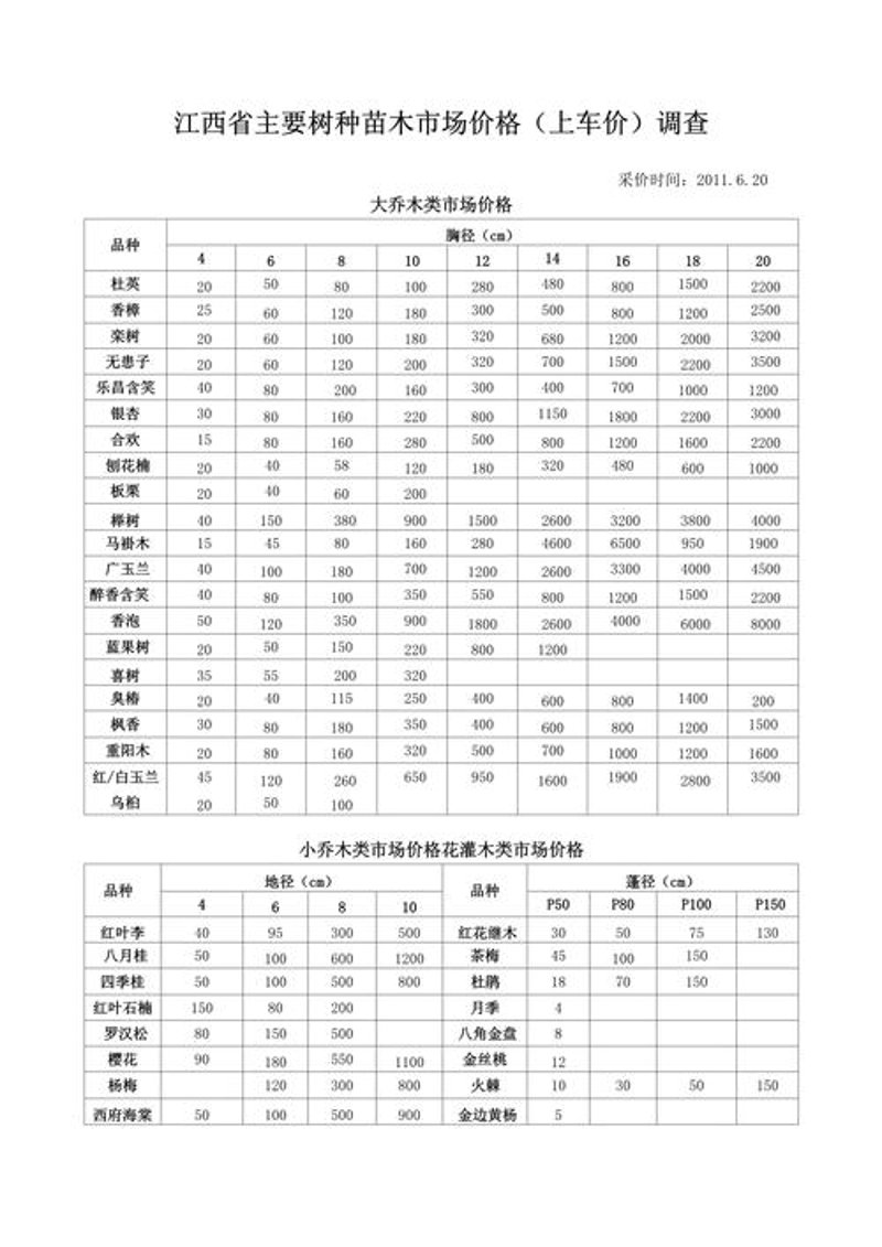 苗木价格