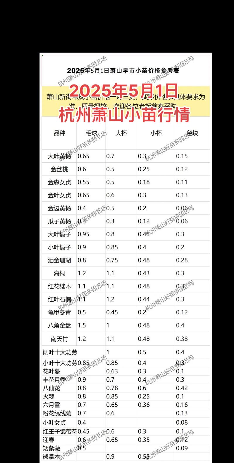 选购绿化苗木的那些事儿